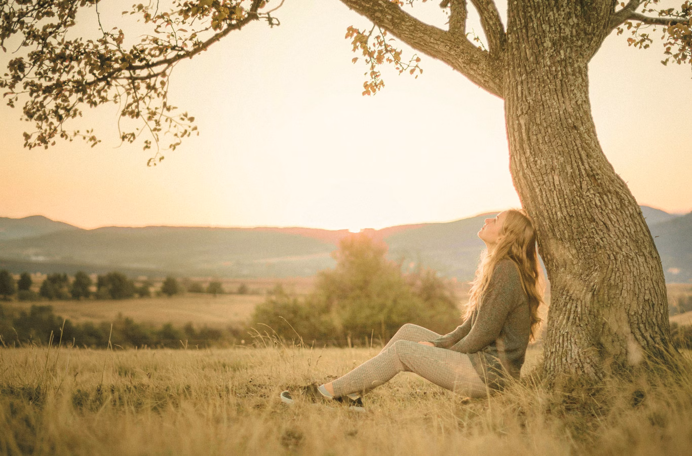 Dame sitzt unter einem Baum, bei Sonnenuntergang.