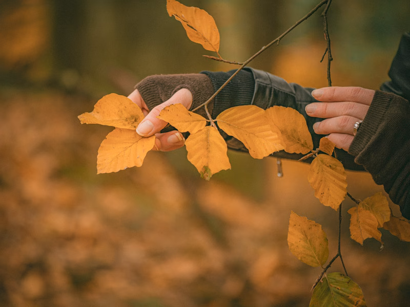 Hände greifen ineinander